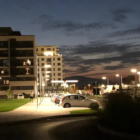 Apartment D&f Grey Brasov